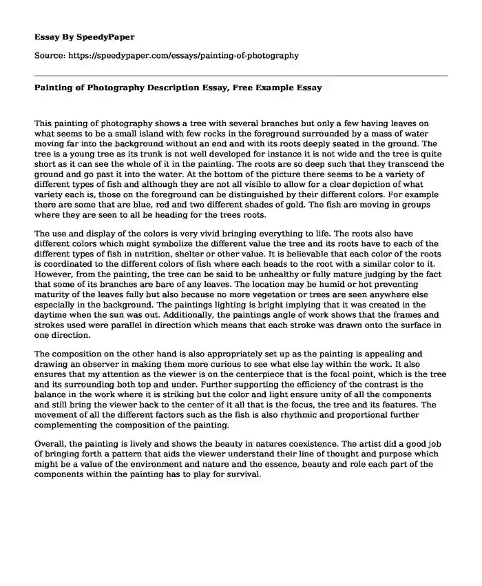 Painting of Photography Description Essay, Free Example