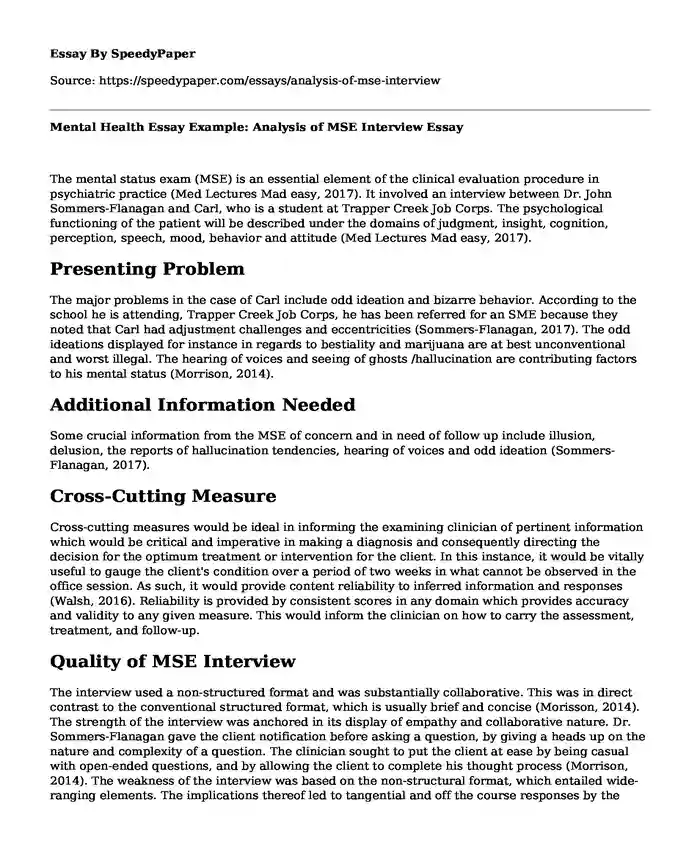 Mental Health Essay Example: Analysis of MSE Interview