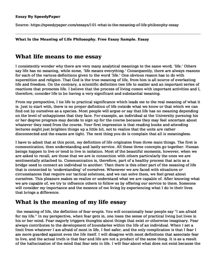 What Is the Meaning of Life Philosophy. Free Essay Sample.