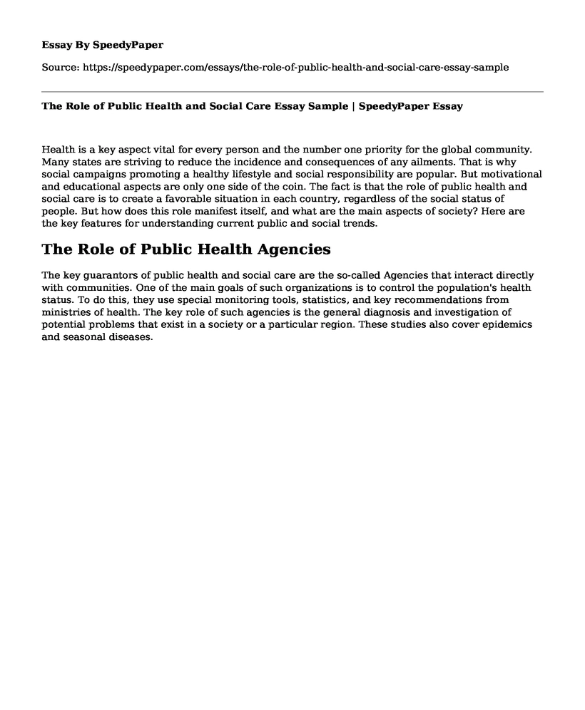The Role of Public Health and Social Care Essay Sample | SpeedyPaper