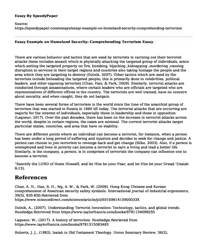 Essay Example on Homeland Security: Comprehending Terrorism