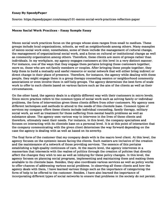 mezzo-social-work-practices-essay-sample-speedypaper