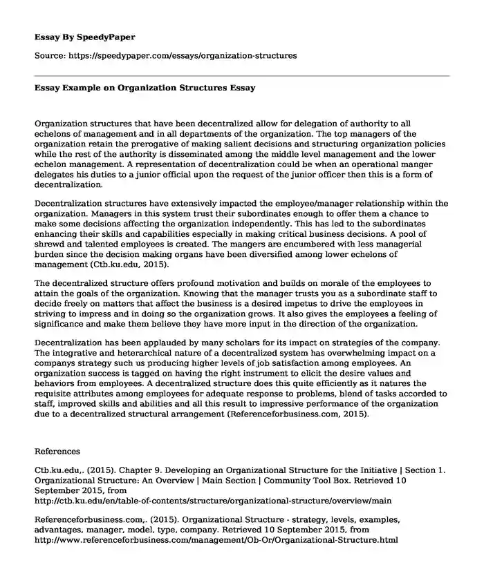 Essay Example on Organization Structures