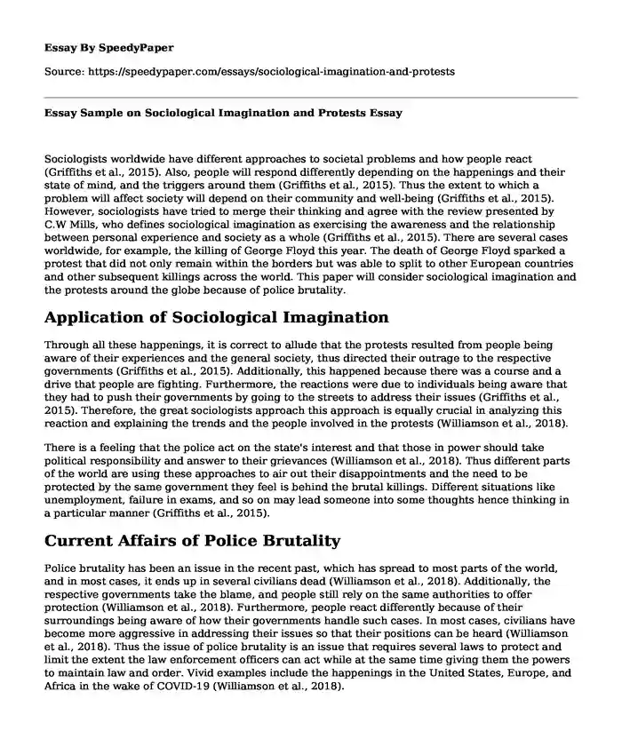 Essay Sample on Sociological Imagination and Protests