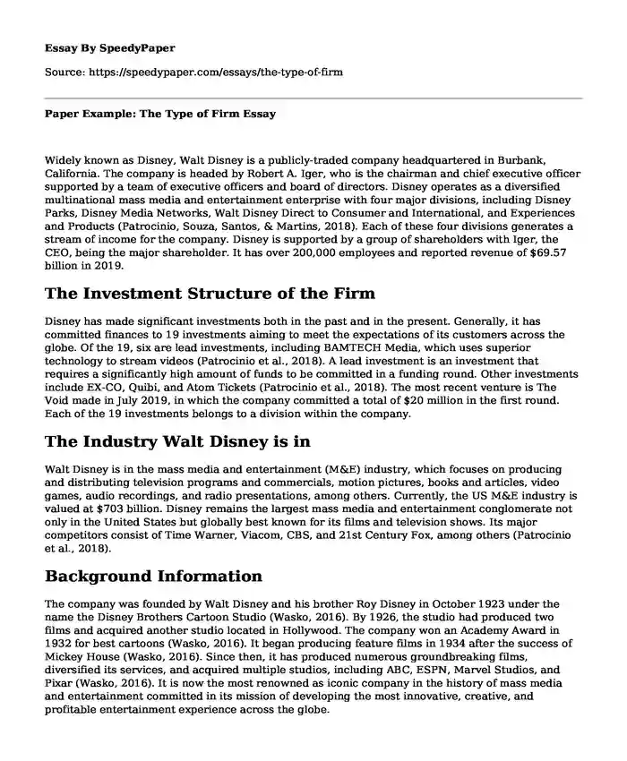 Paper Example: The Type of Firm