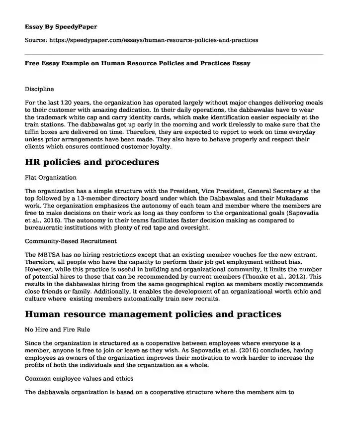 Free Essay Example on Human Resource Policies and Practices