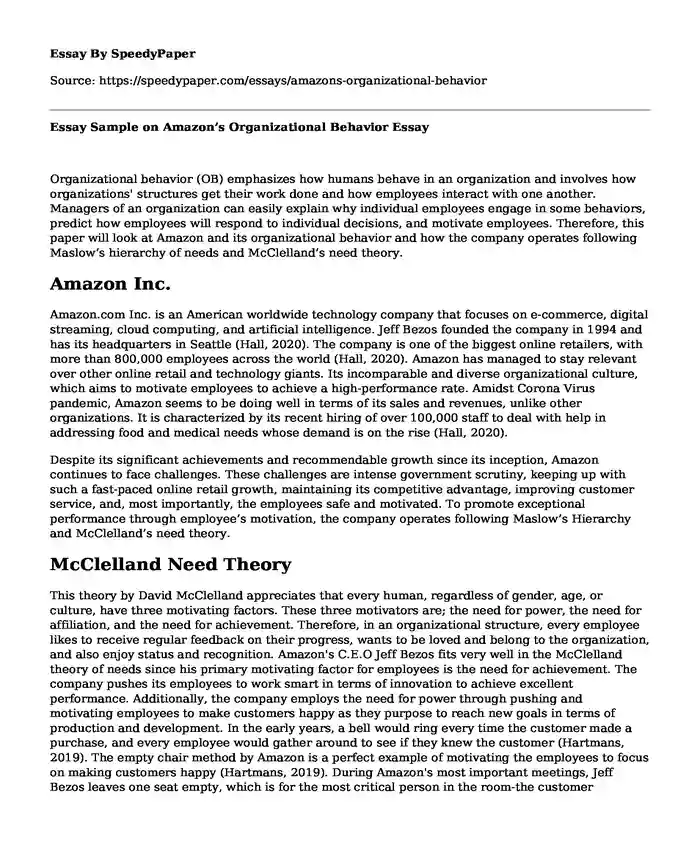 Essay Sample on Amazon's Organizational Behavior