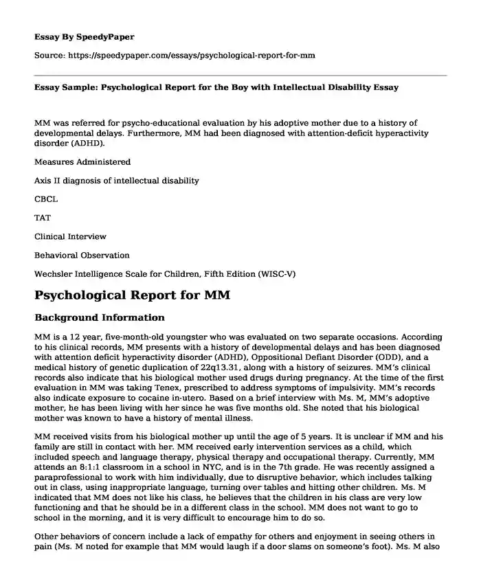 Essay Sample: Psychological Report for the Boy with Intellectual Disability
