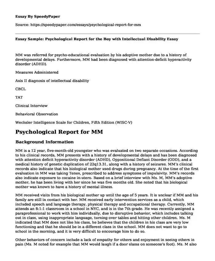 📌 Essay Sample Psychological Report for the Boy with Intellectual