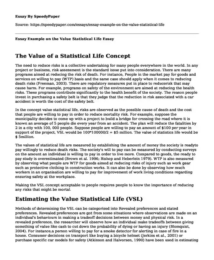 Essay Example on the Value Statistical Life