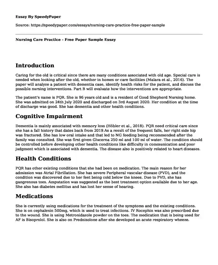 Nursing Care Practice - Free Paper Sample