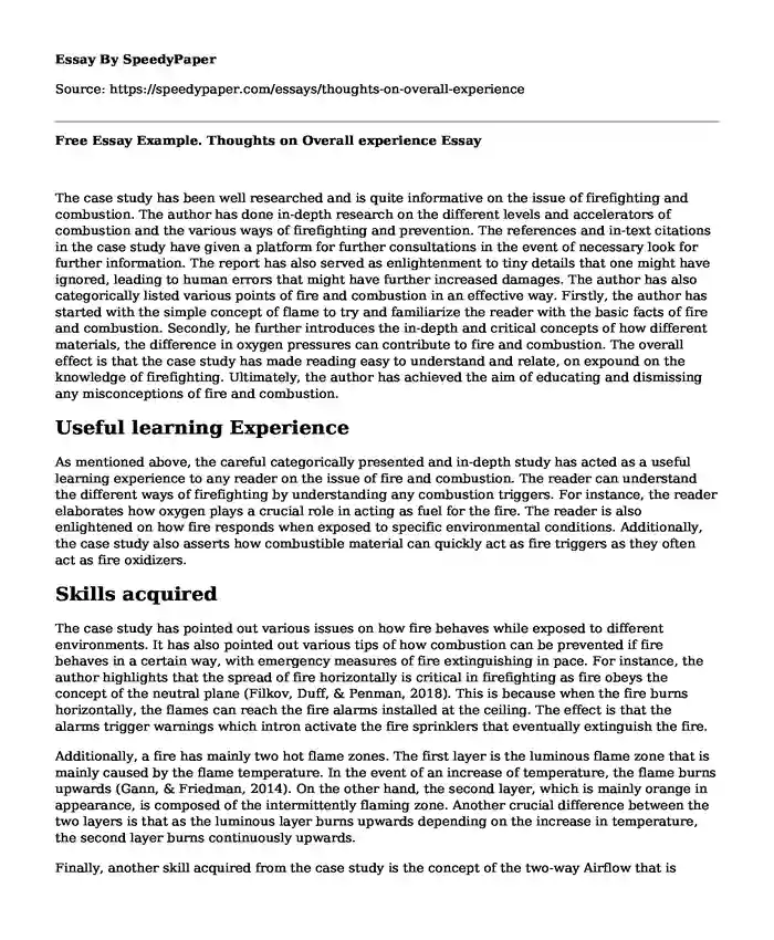 Free Essay Example. Thoughts on Overall experience