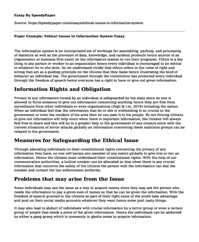 Paper Example: Ethical Issues in Information System