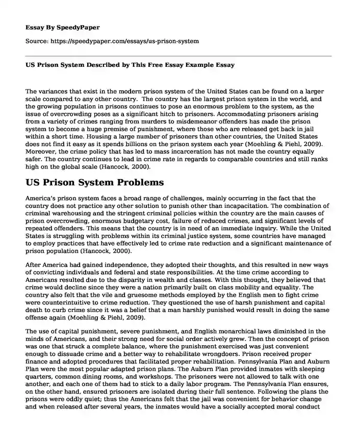 US Prison System Described by This Free Essay Example