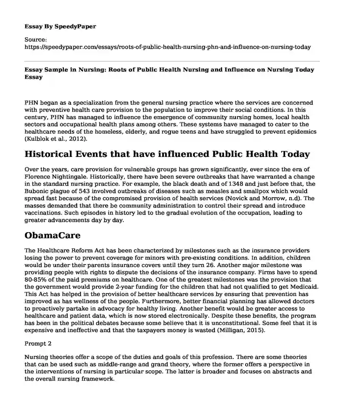 Essay Sample in Nursing: Roots of Public Health Nursing and Influence on Nursing Today