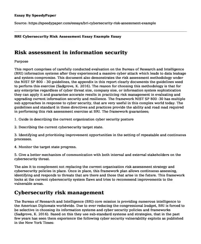 BRI Cybersecurity Risk Assessment Essay Example