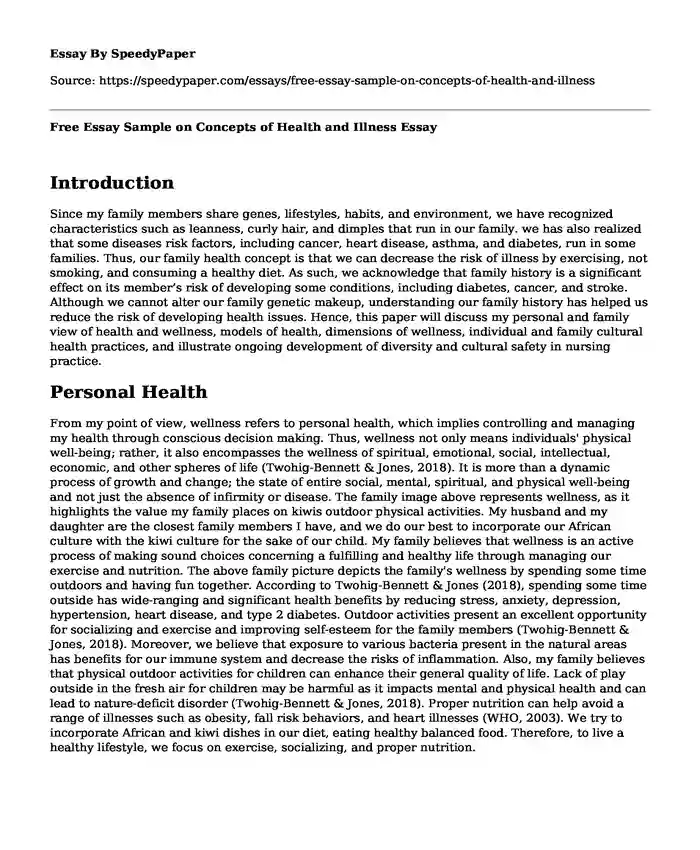 Free Essay Sample on Concepts of Health and Illness