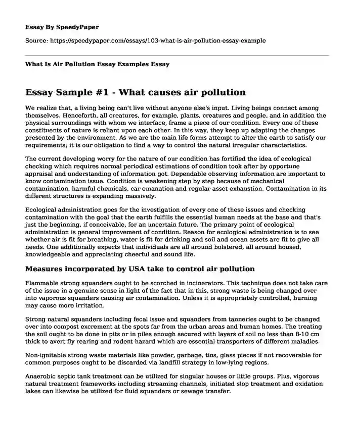 What Is Air Pollution Essay Examples