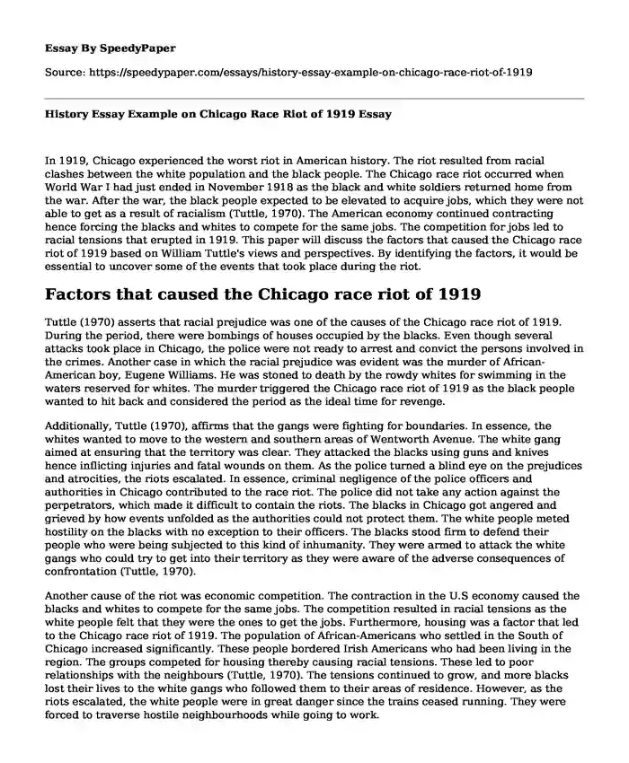 History Essay Example on Chicago Race Riot of 1919
