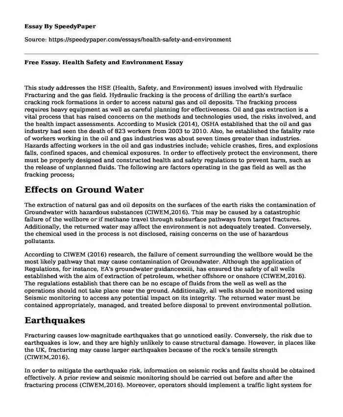 Free Essay. Health Safety and Environment