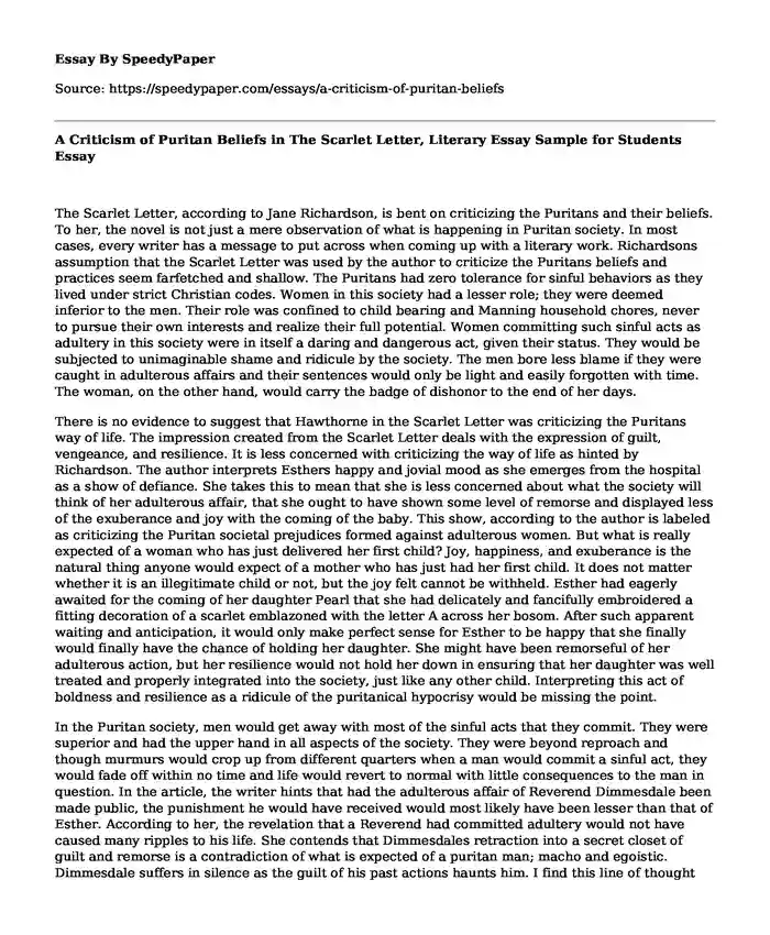 A Criticism of Puritan Beliefs in The Scarlet Letter, Literary Essay Sample for Students