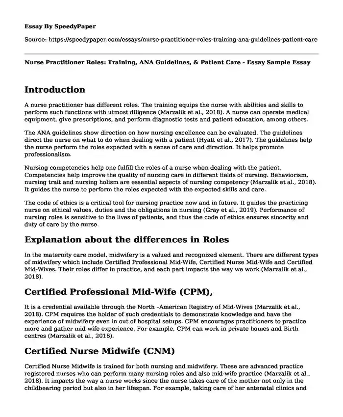 Nurse Practitioner Roles: Training, ANA Guidelines, & Patient Care - Essay Sample