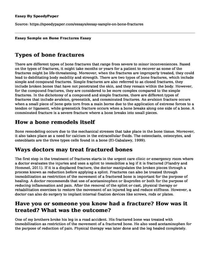 Essay Sample on Bone Fractures