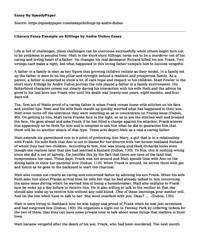 Literary Essay Example on Killings by Andre Dubus