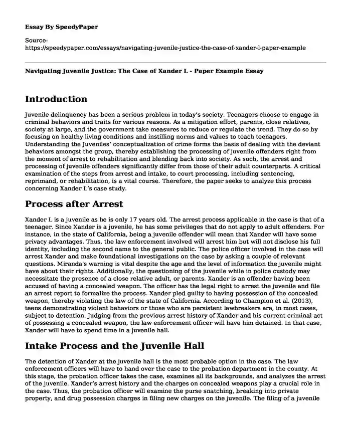 Navigating Juvenile Justice: The Case of Xander L - Paper Example