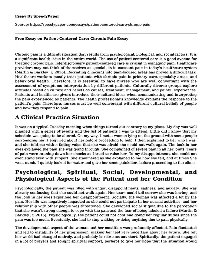 Free Essay on Patient-Centered Care: Chronic Pain