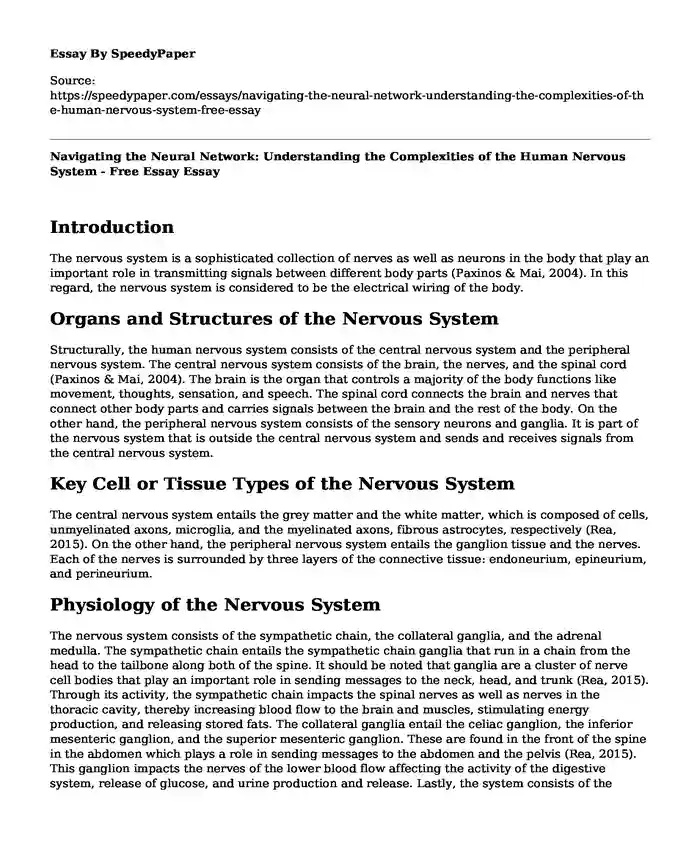 Navigating the Neural Network: Understanding the Complexities of the Human Nervous System - Free Essay