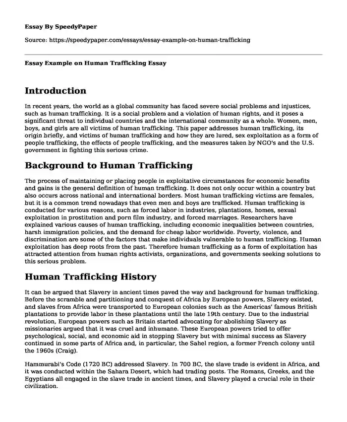 Essay Example on Human Trafficking