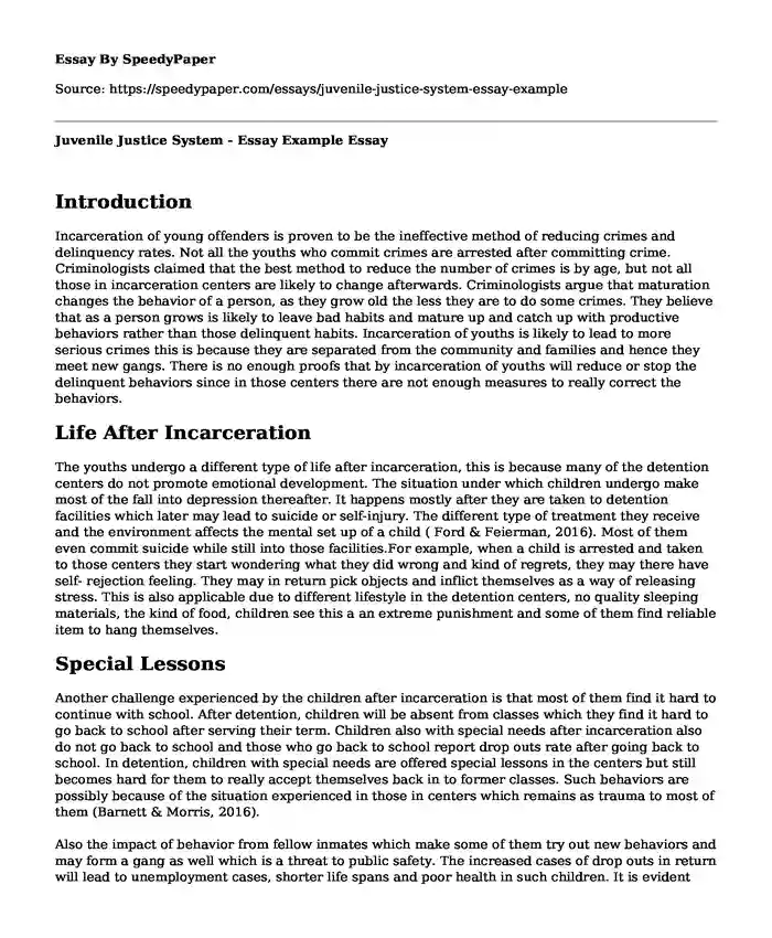Juvenile Justice System - Essay Example