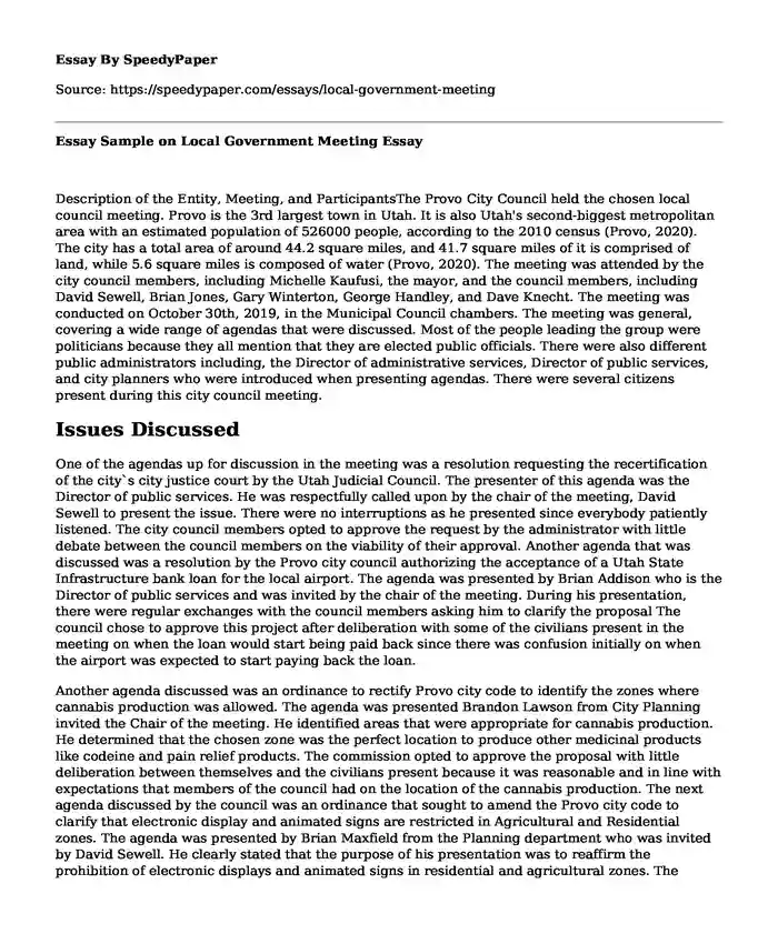 Essay Sample on Local Government Meeting