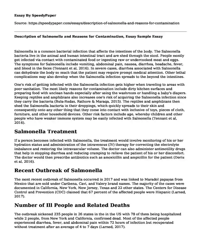 Description of Salmonella and Reasons for Contamination, Essay Sample