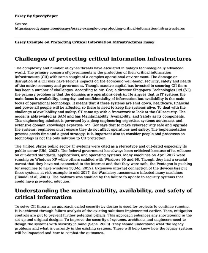 Essay Example on Protecting Critical Information Infrastructures