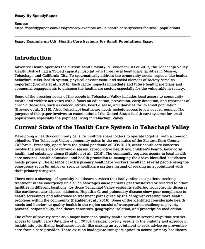 Essay Example on U.S. Health Care Systems for Small Populations