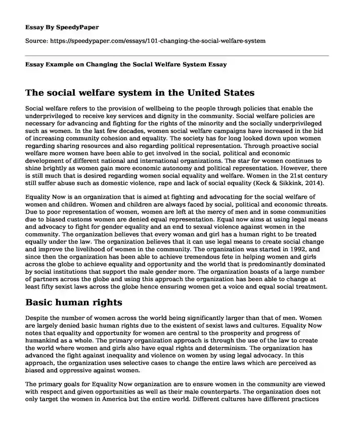 Essay Example on Changing the Social Welfare System