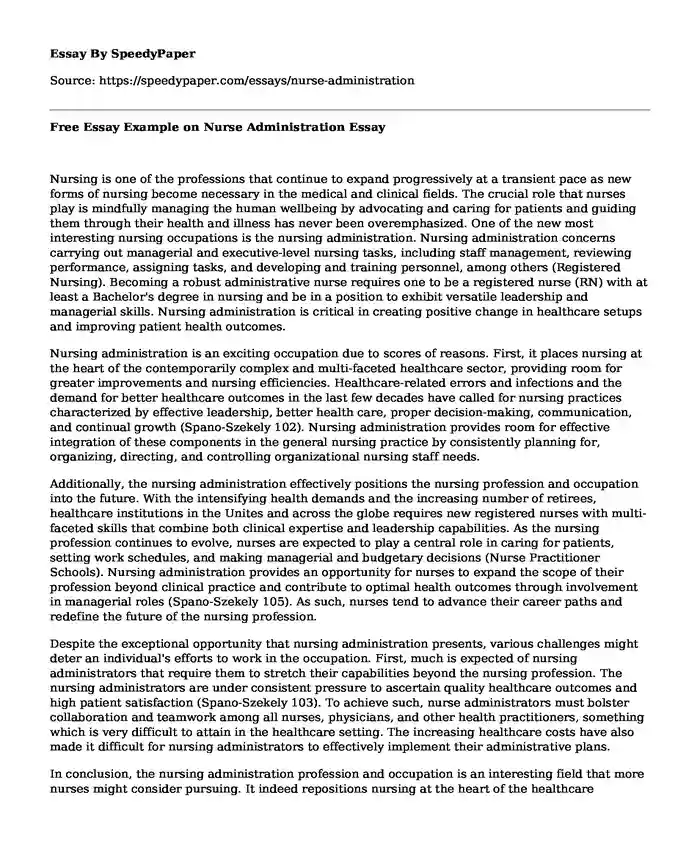 Free Essay Example on Nurse Administration