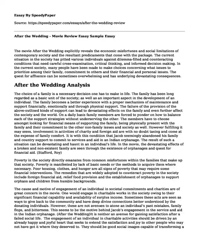 After the Wedding - Movie Review Essay Sample