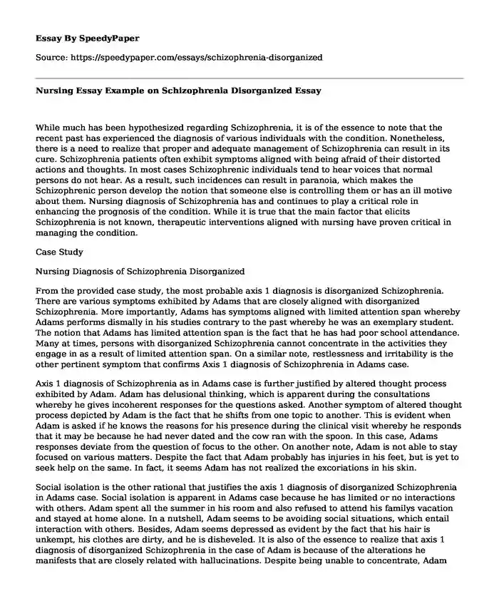 Nursing Essay Example on Schizophrenia Disorganized