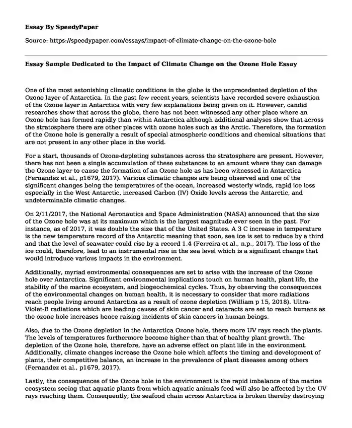 Essay Sample Dedicated to the Impact of Climate Change on the Ozone Hole