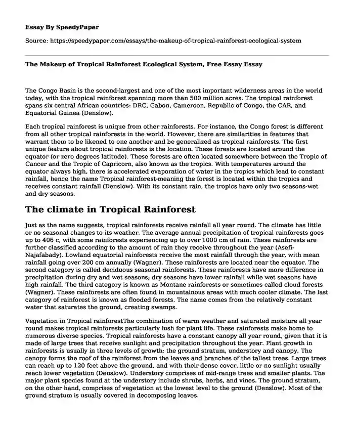 The Makeup of Tropical Rainforest Ecological System, Free Essay