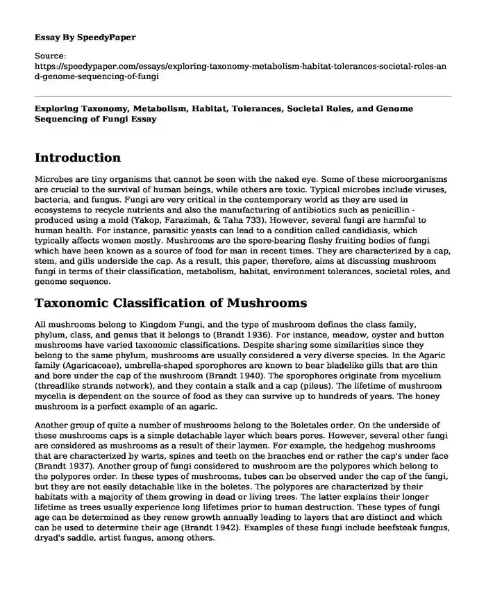 Exploring Taxonomy, Metabolism, Habitat, Tolerances, Societal Roles, and Genome Sequencing of Fungi