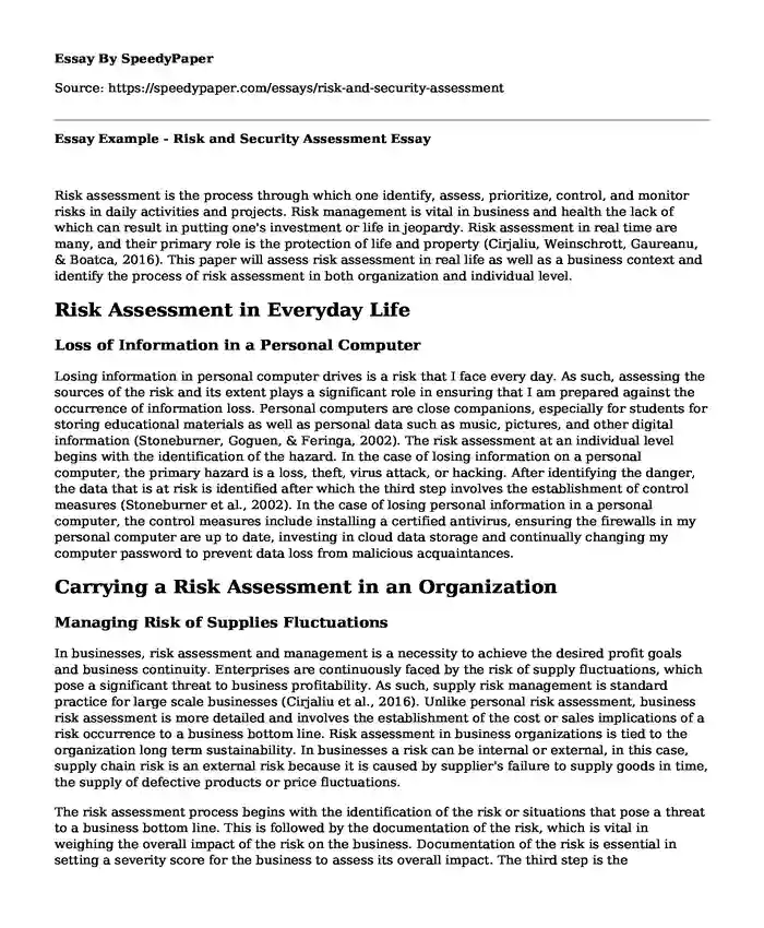 Essay Example - Risk and Security Assessment