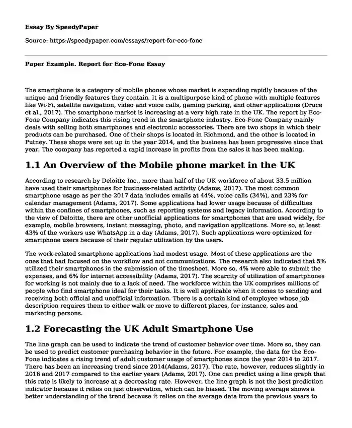 Paper Example. Report for Eco-Fone