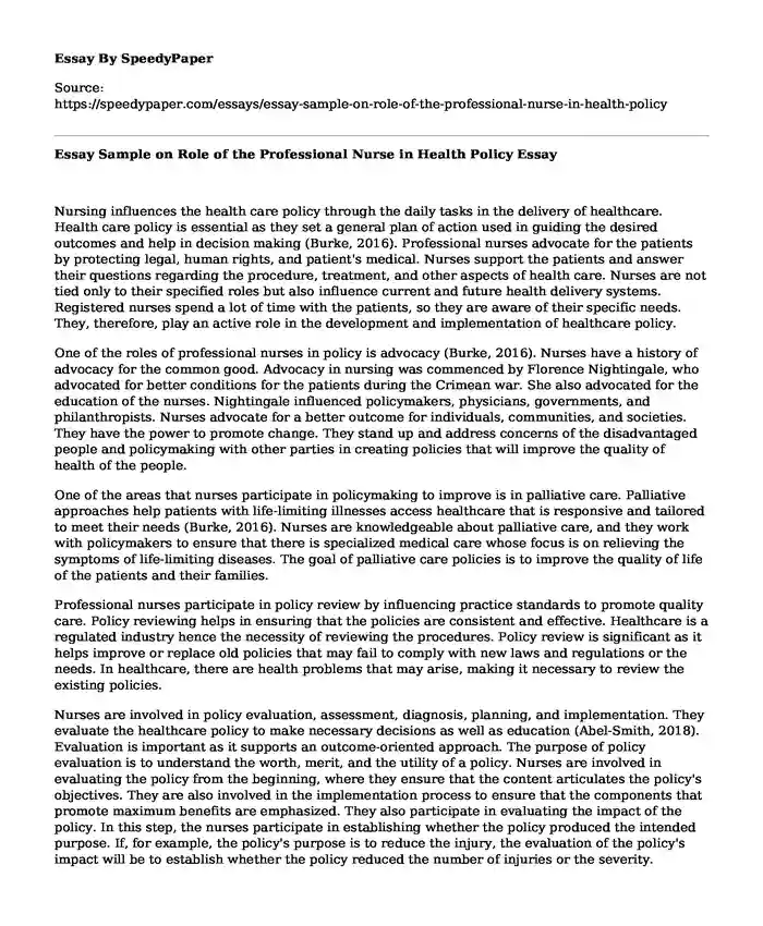 Essay Sample on Role of the Professional Nurse in Health Policy