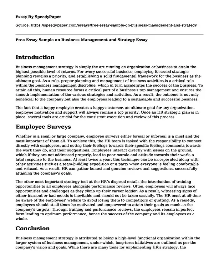 Free Essay Sample on Business Management and Strategy