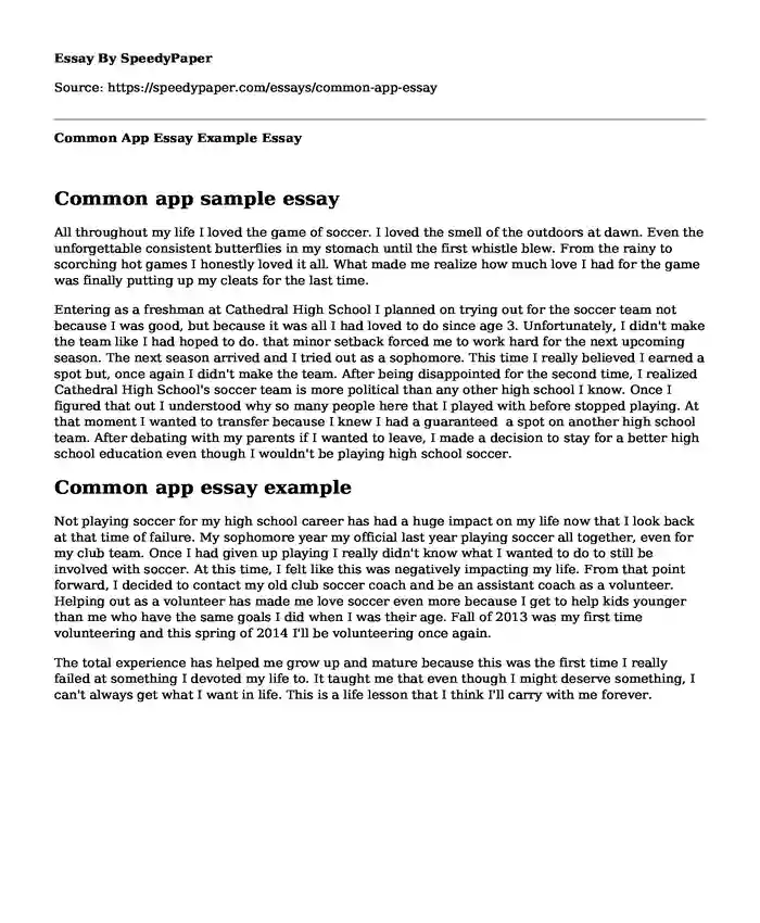 Common App Essay Example