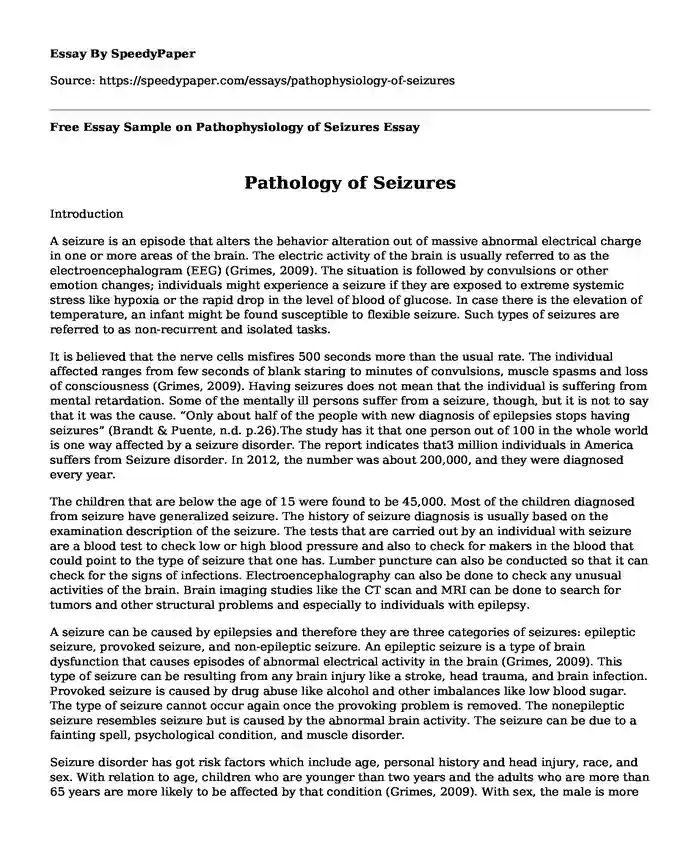 Free Essay Sample on Pathophysiology of Seizures